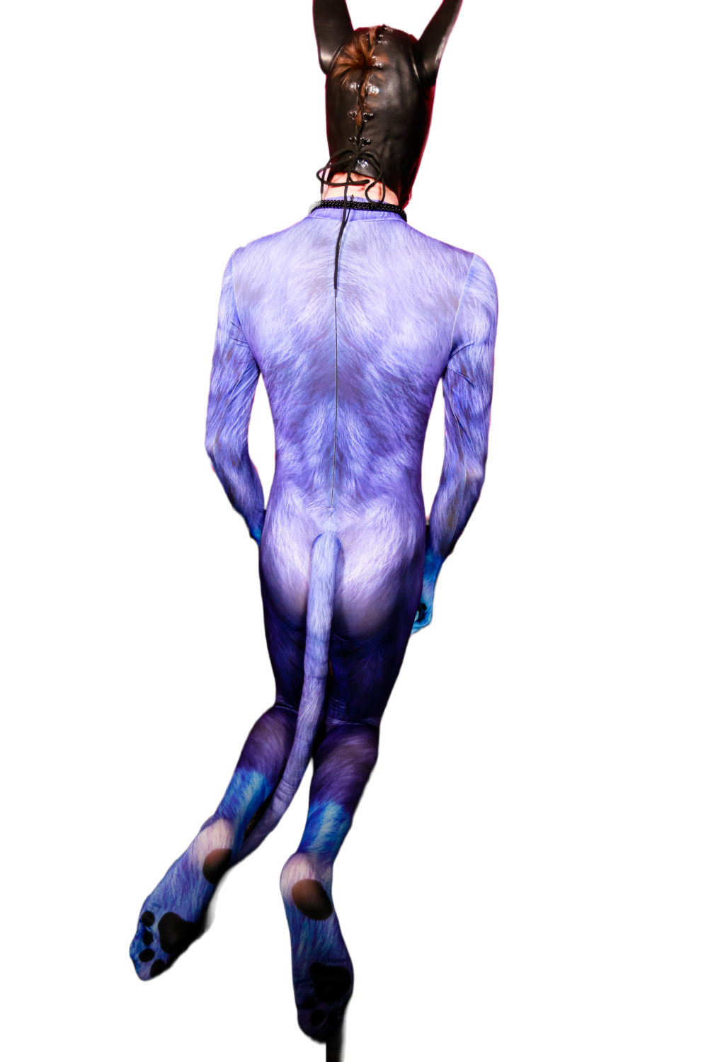Blue dog petsuit