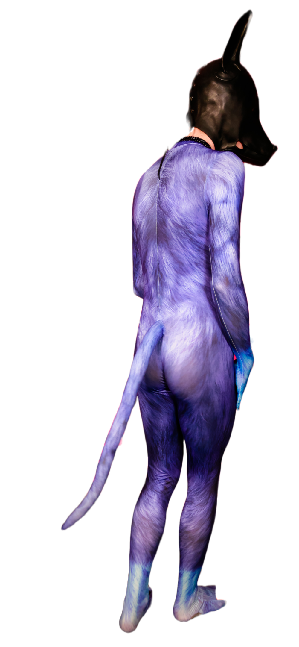 Blue dog petsuit