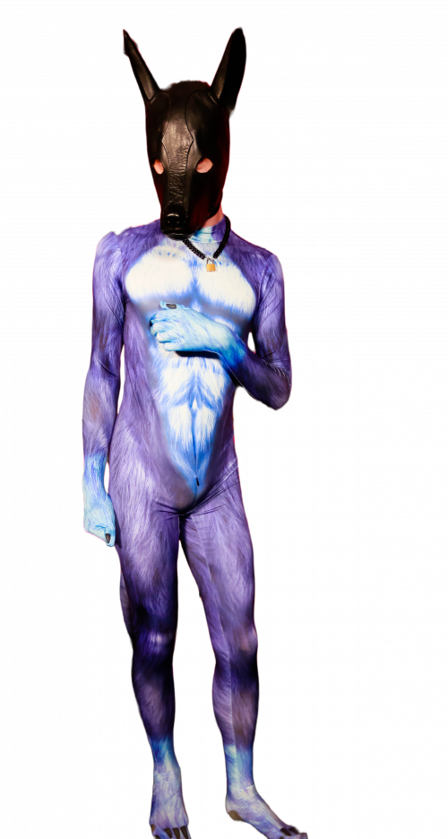 Blue dog petsuit