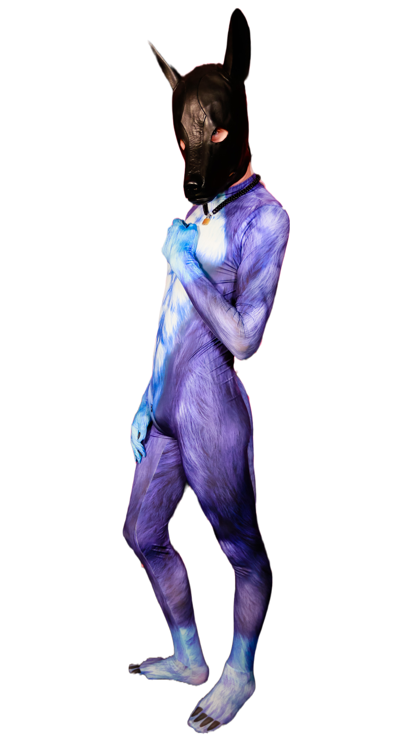 Blue dog petsuit