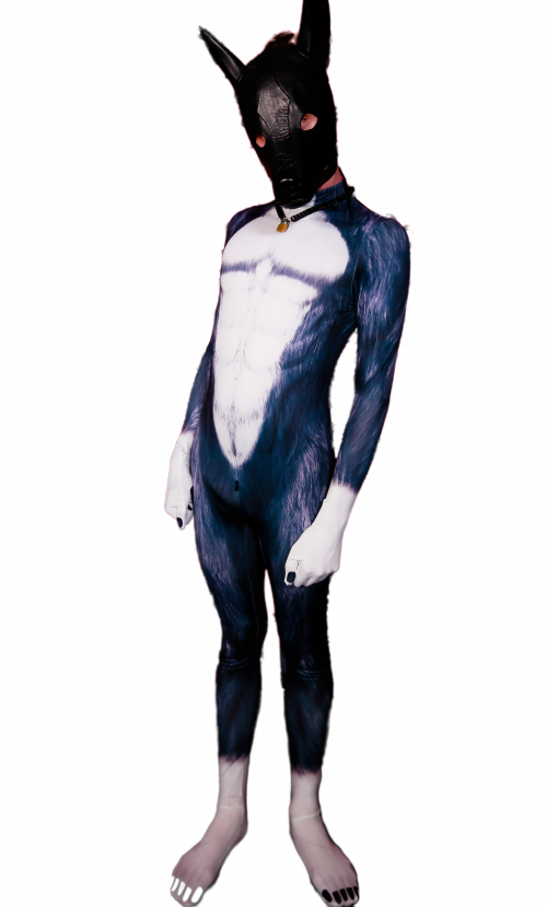 Black Wolf petsuit