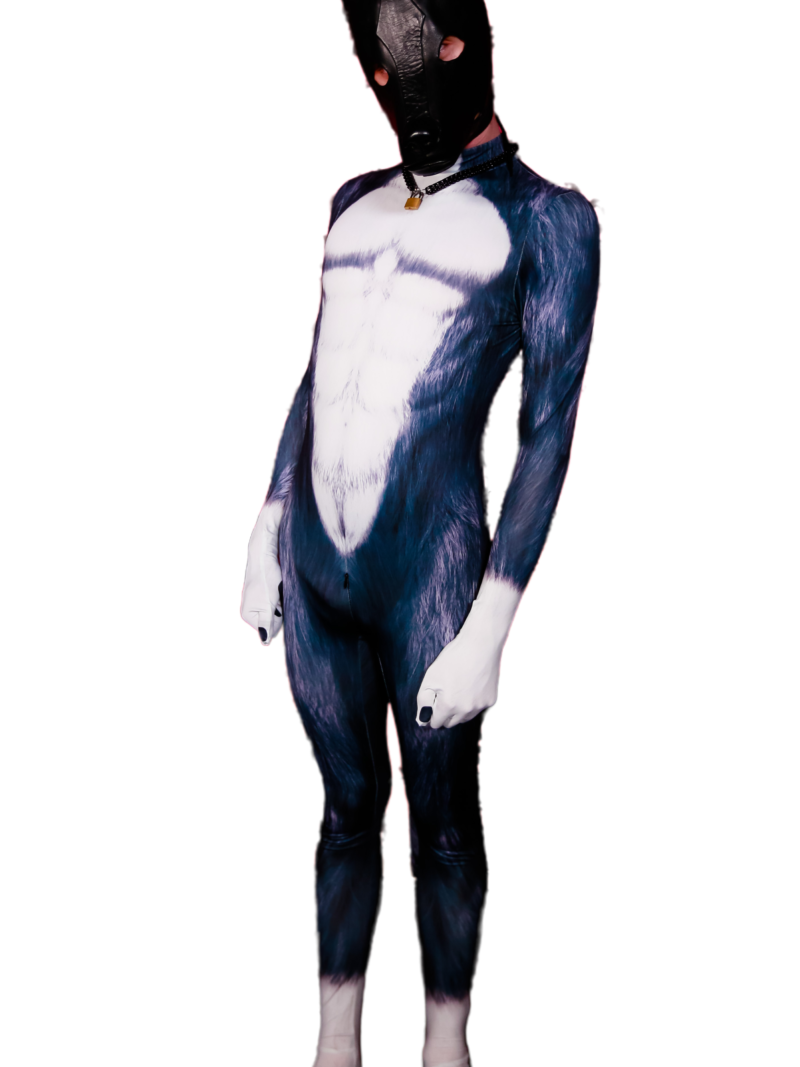 Black Wolf petsuit