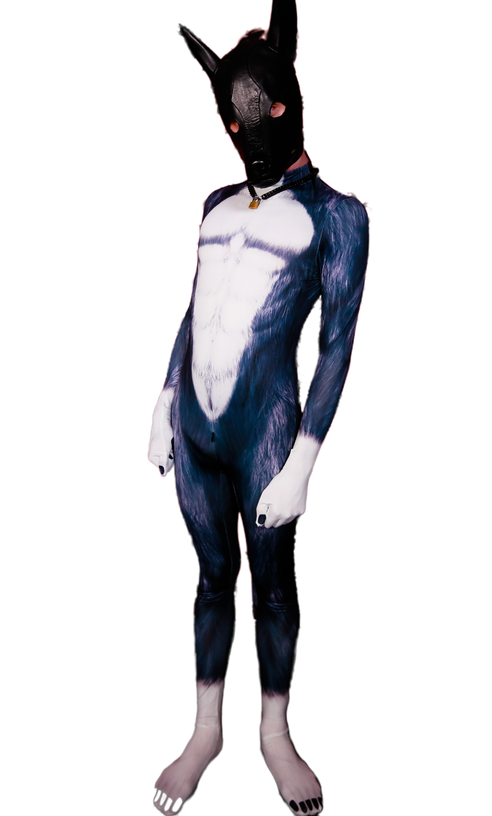 Black Wolf petsuit
