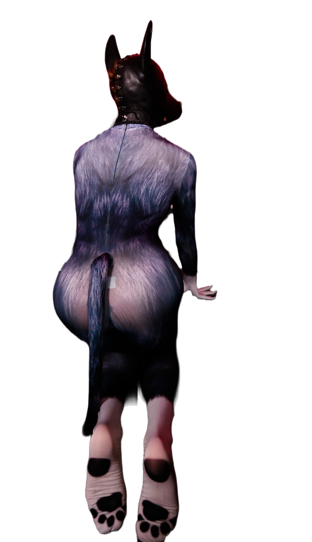 Black Wolf petsuit