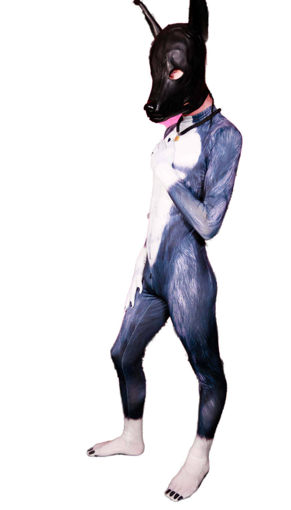 Black Wolf petsuit