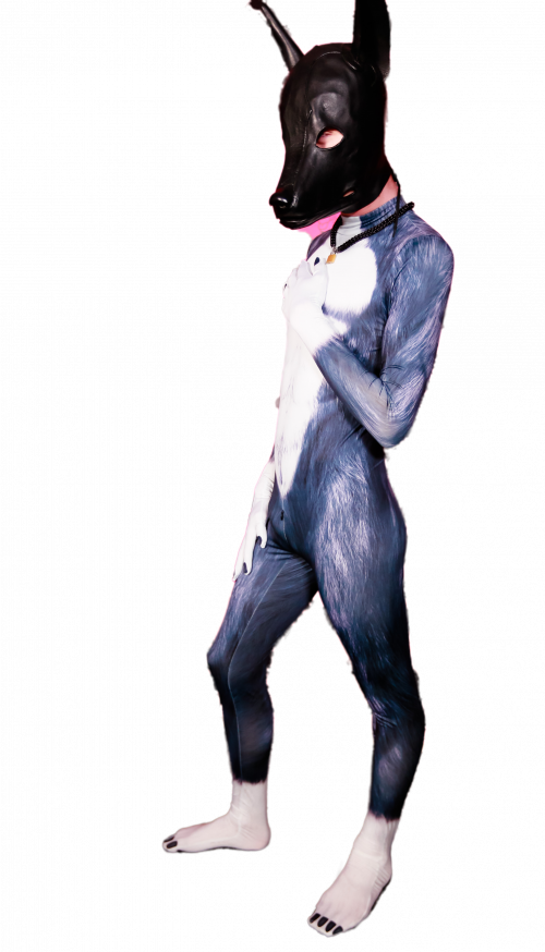 Black Wolf petsuit