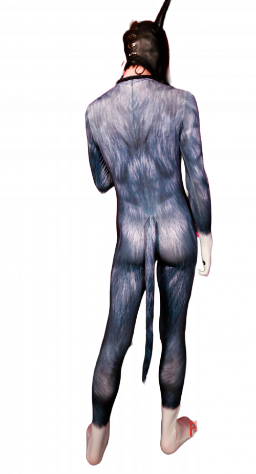 Black Wolf petsuit