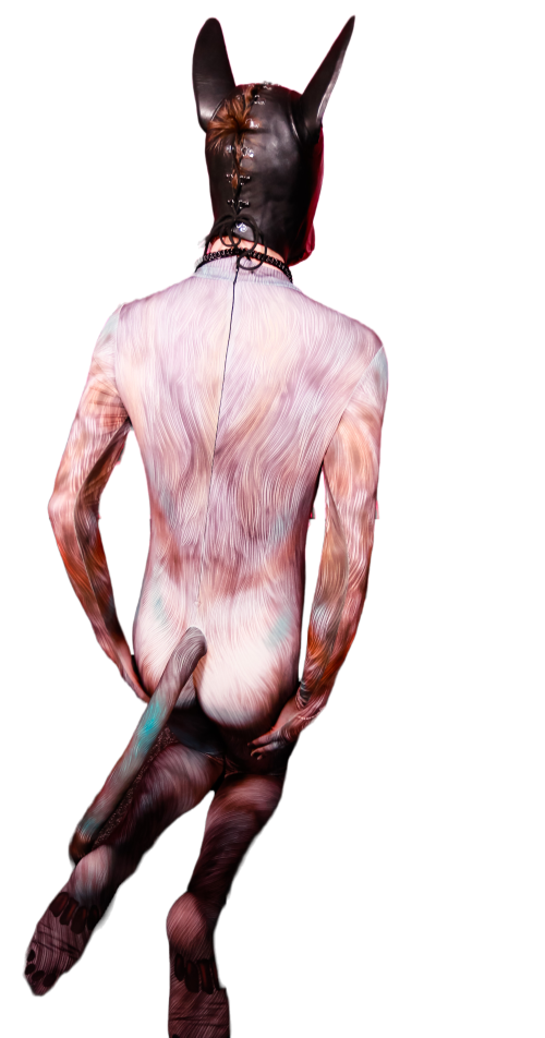 Blue Fox petsuit