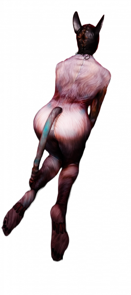 Blue Fox petsuit