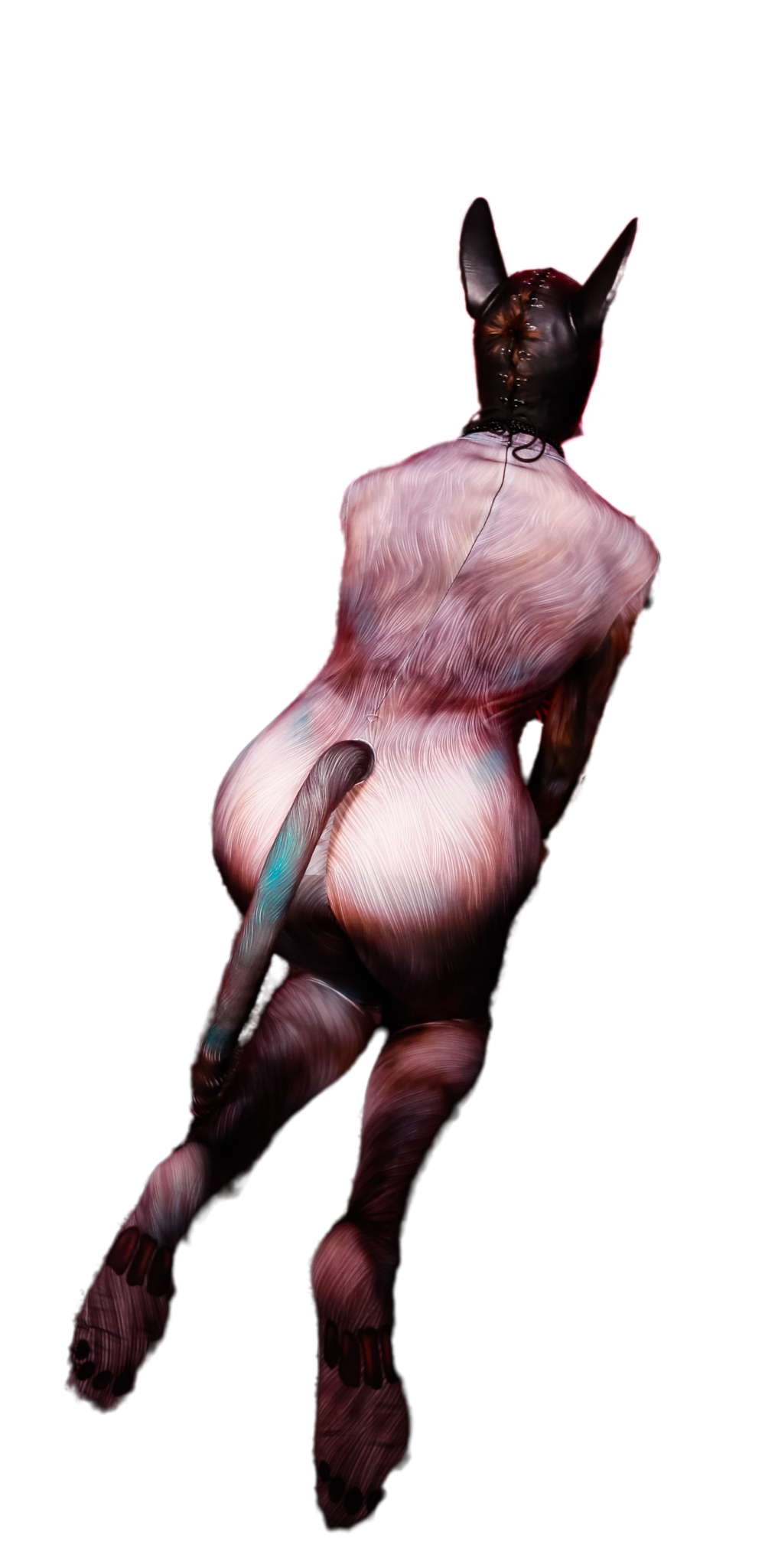Blue Fox petsuit