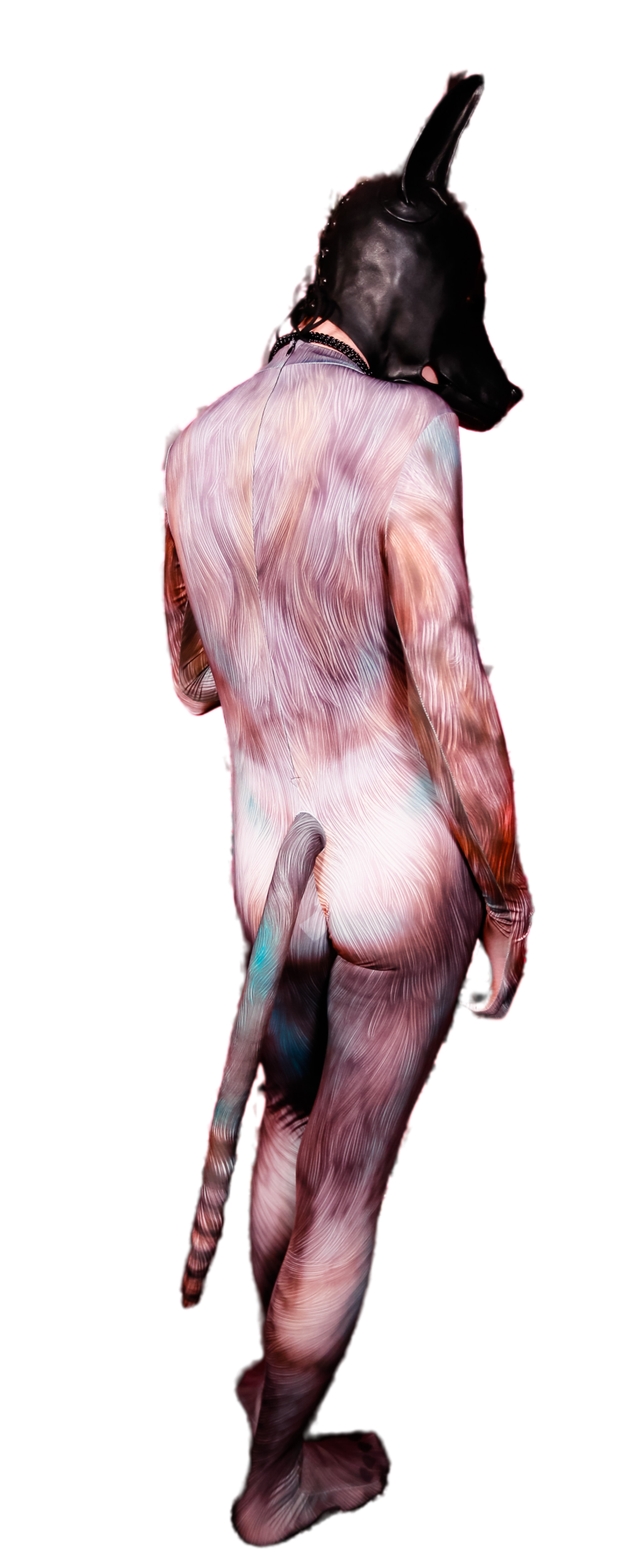 Blue Fox petsuit