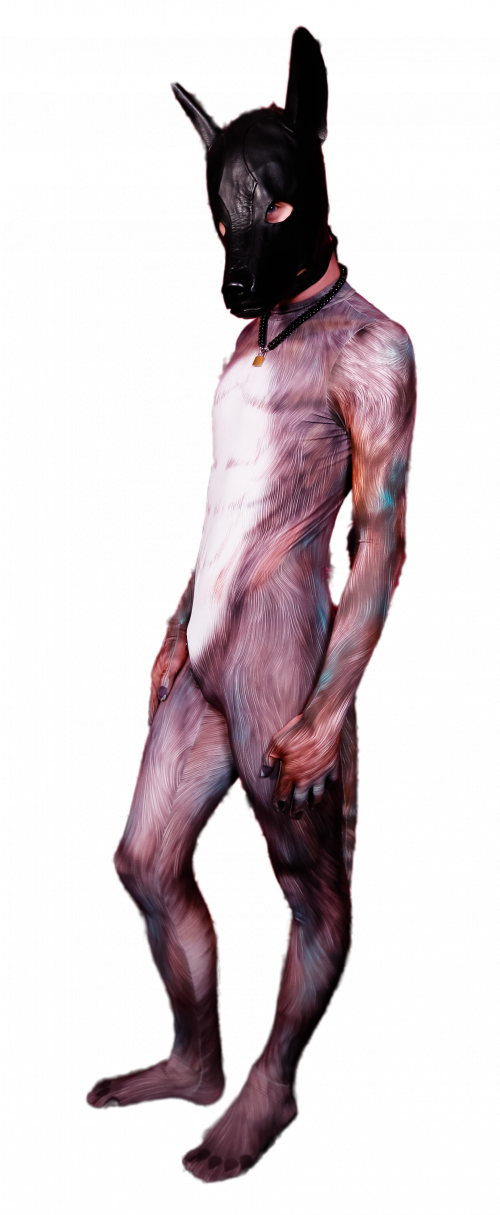 Blue Fox petsuit
