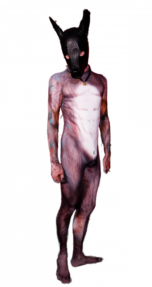 Blue Fox petsuit