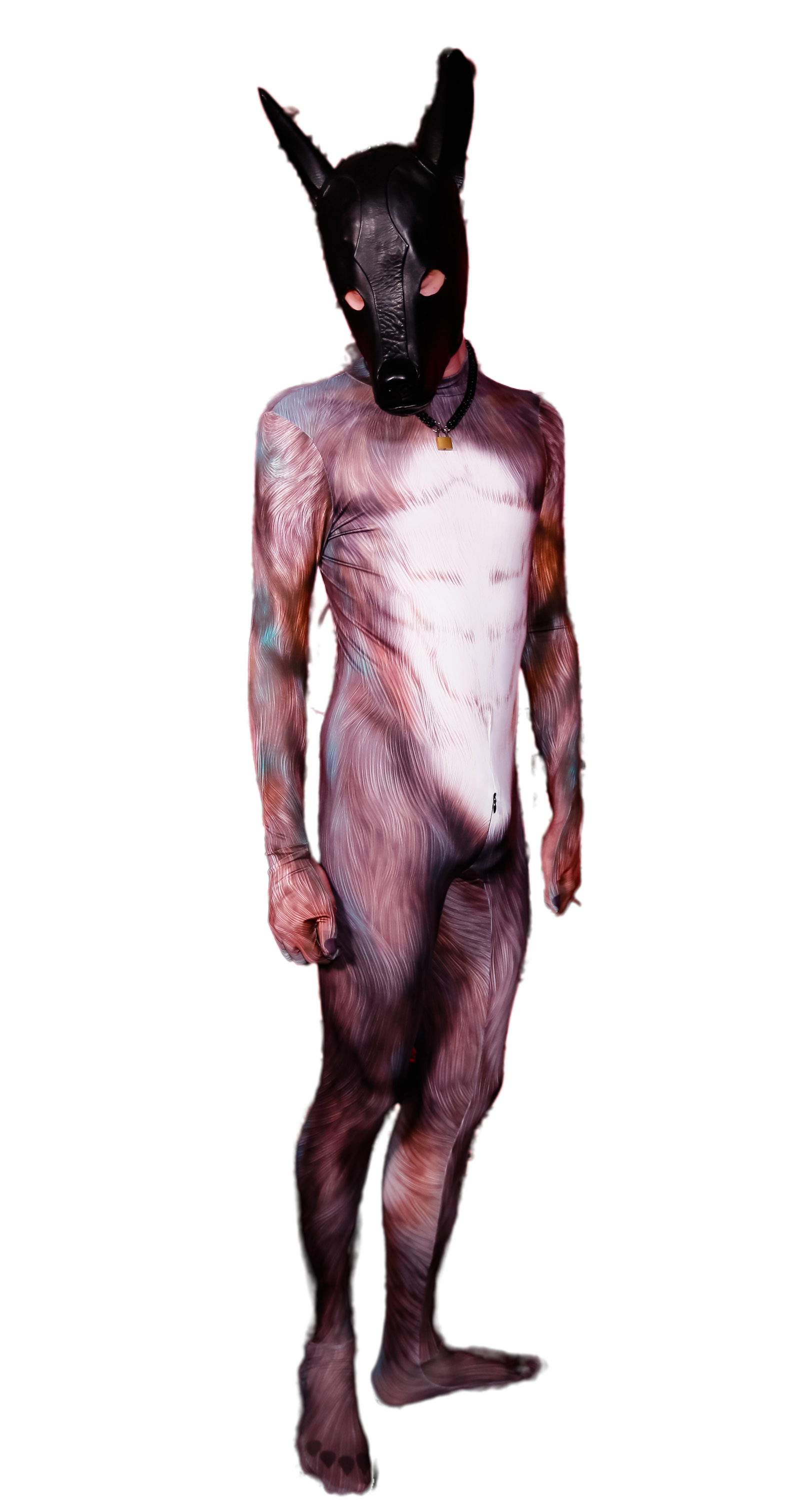 Blue Fox petsuit