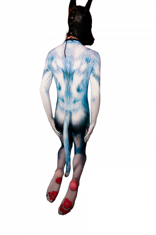 Blue husky petsuit
