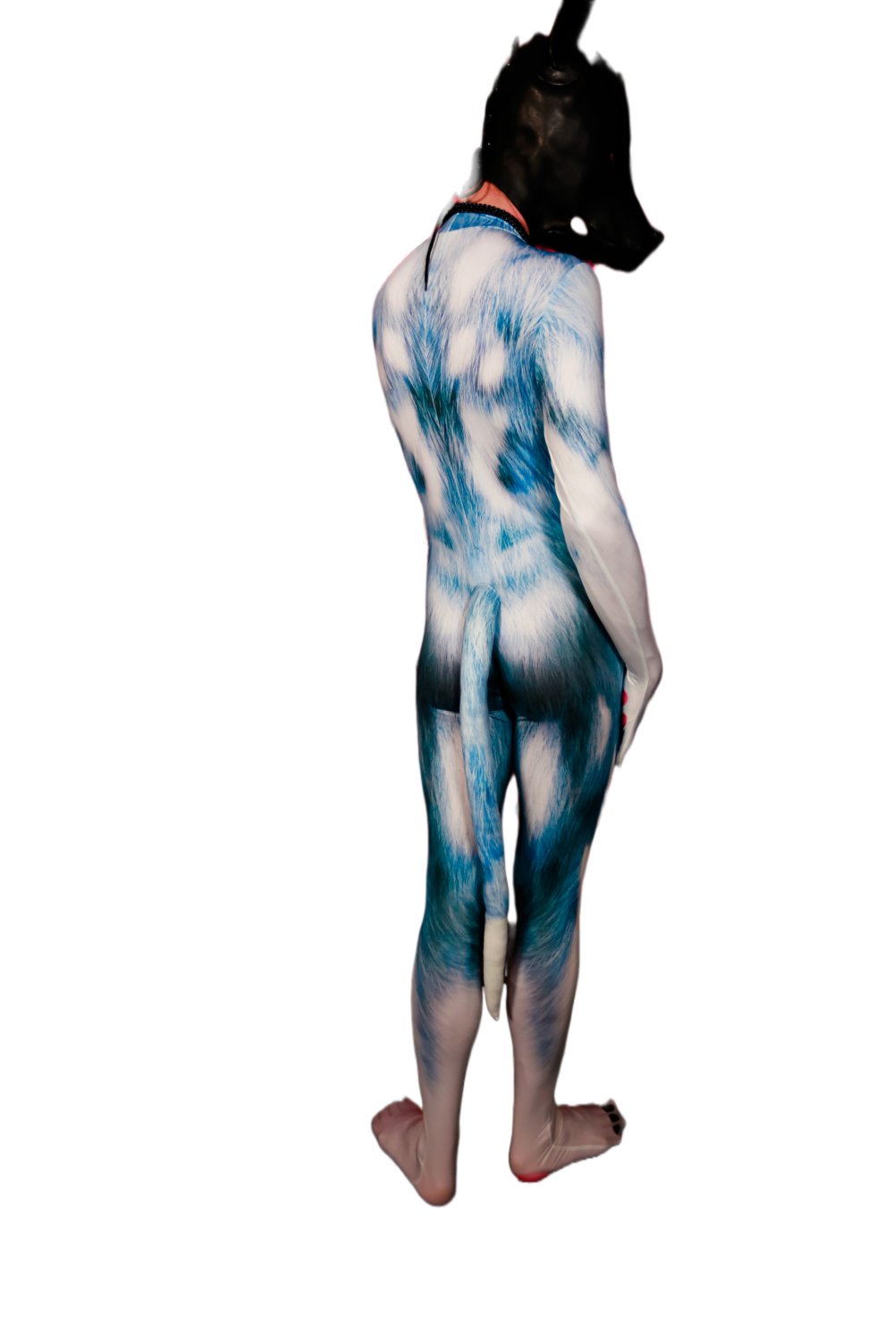 Blue husky petsuit