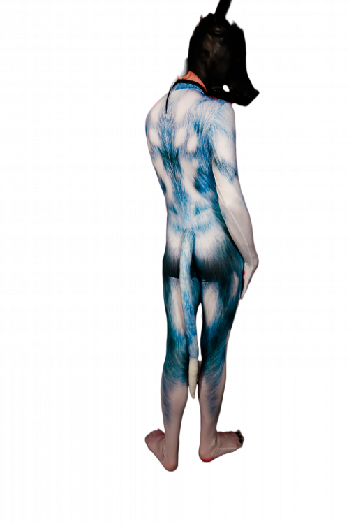 Blue husky petsuit