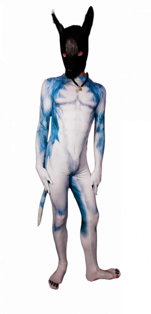 Blue husky petsuit