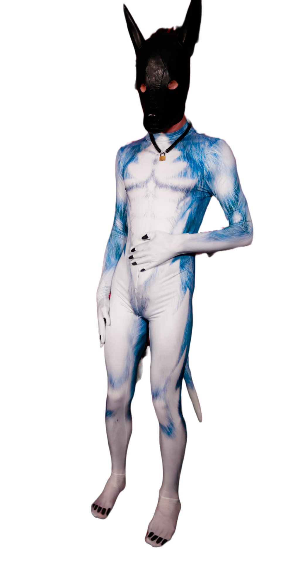 Blue husky petsuit