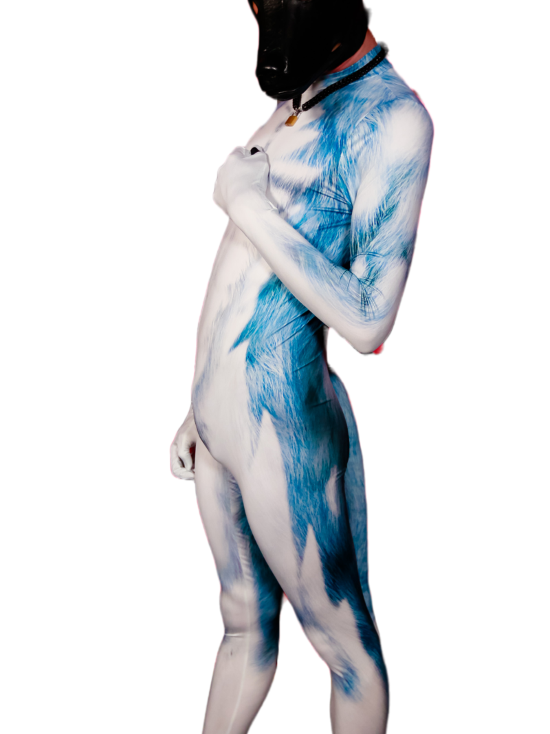 Blue husky petsuit