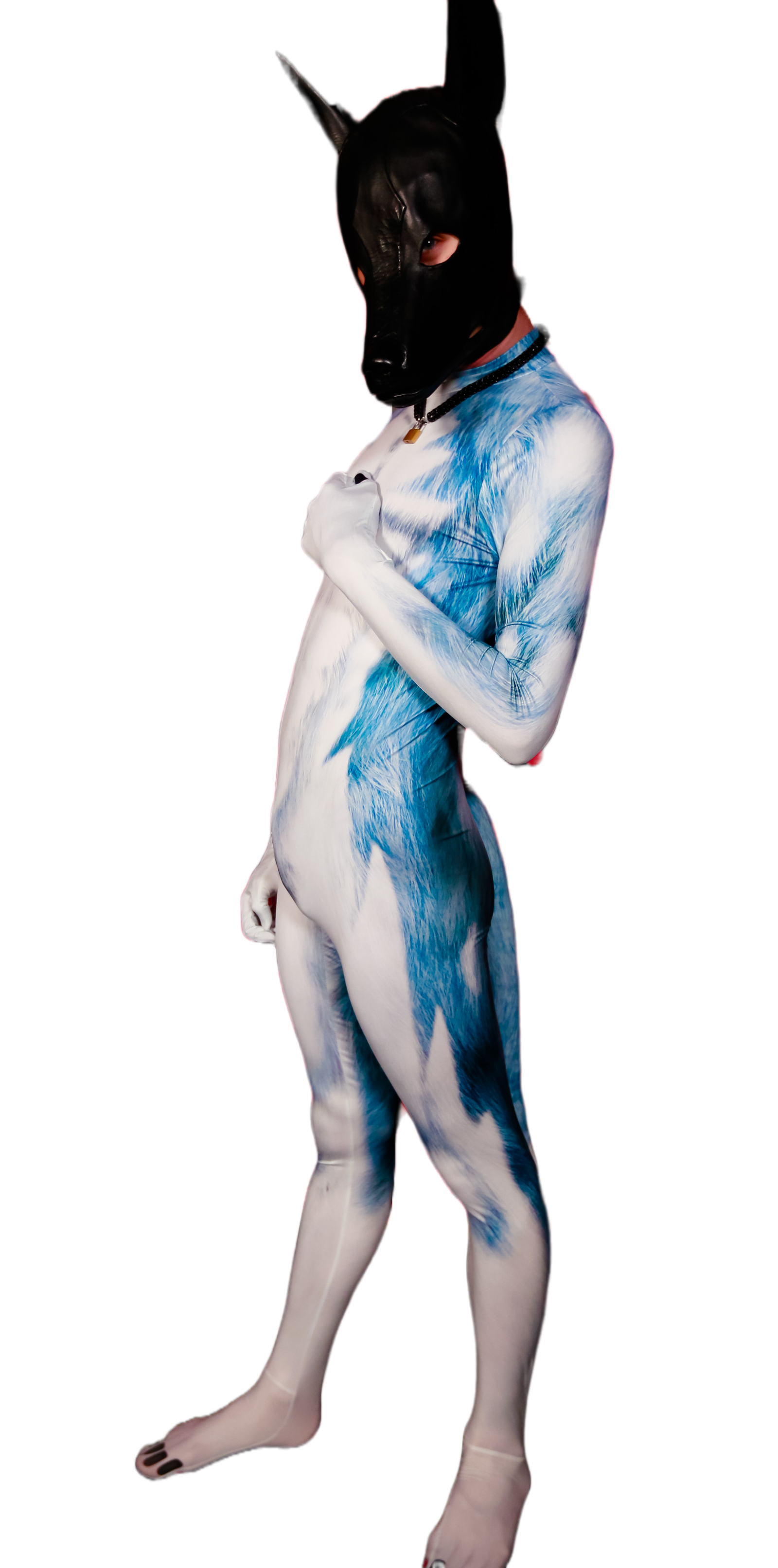 Blue husky petsuit