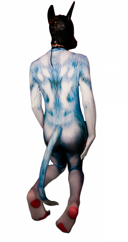 Blue husky petsuit