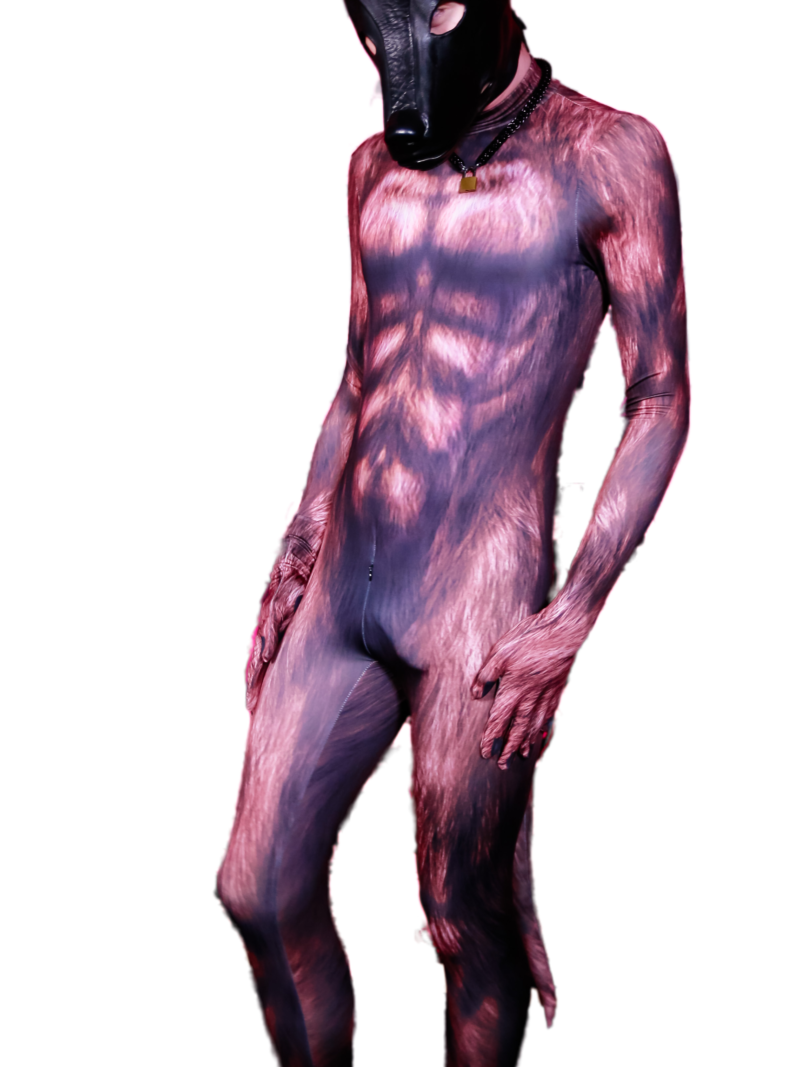 Brown bear petsuit