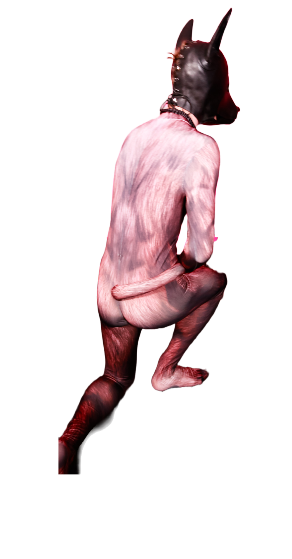 Brown bear petsuit