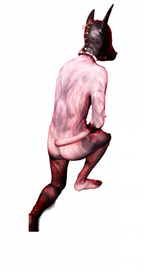 Brown bear petsuit
