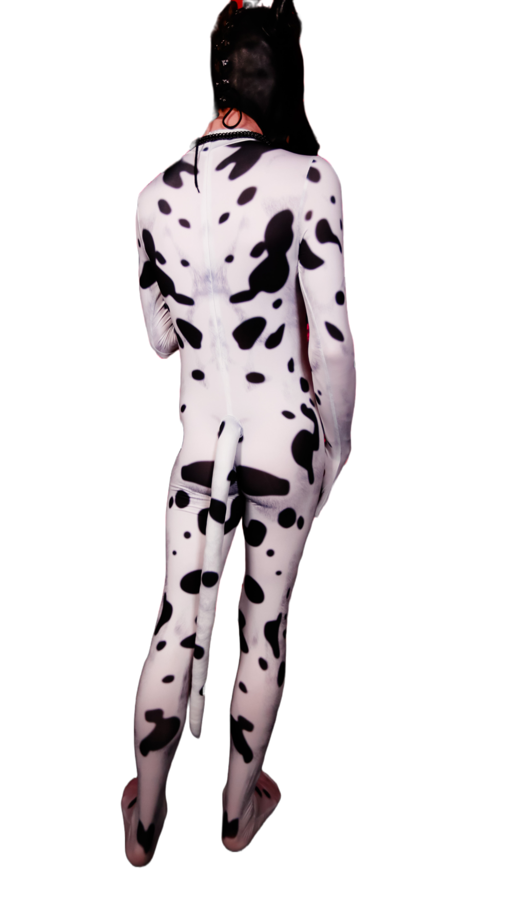 Dalmatian petsuit