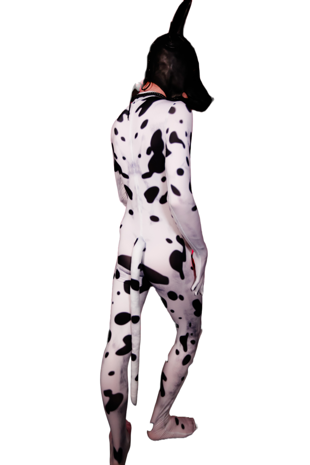 Dalmatian petsuit