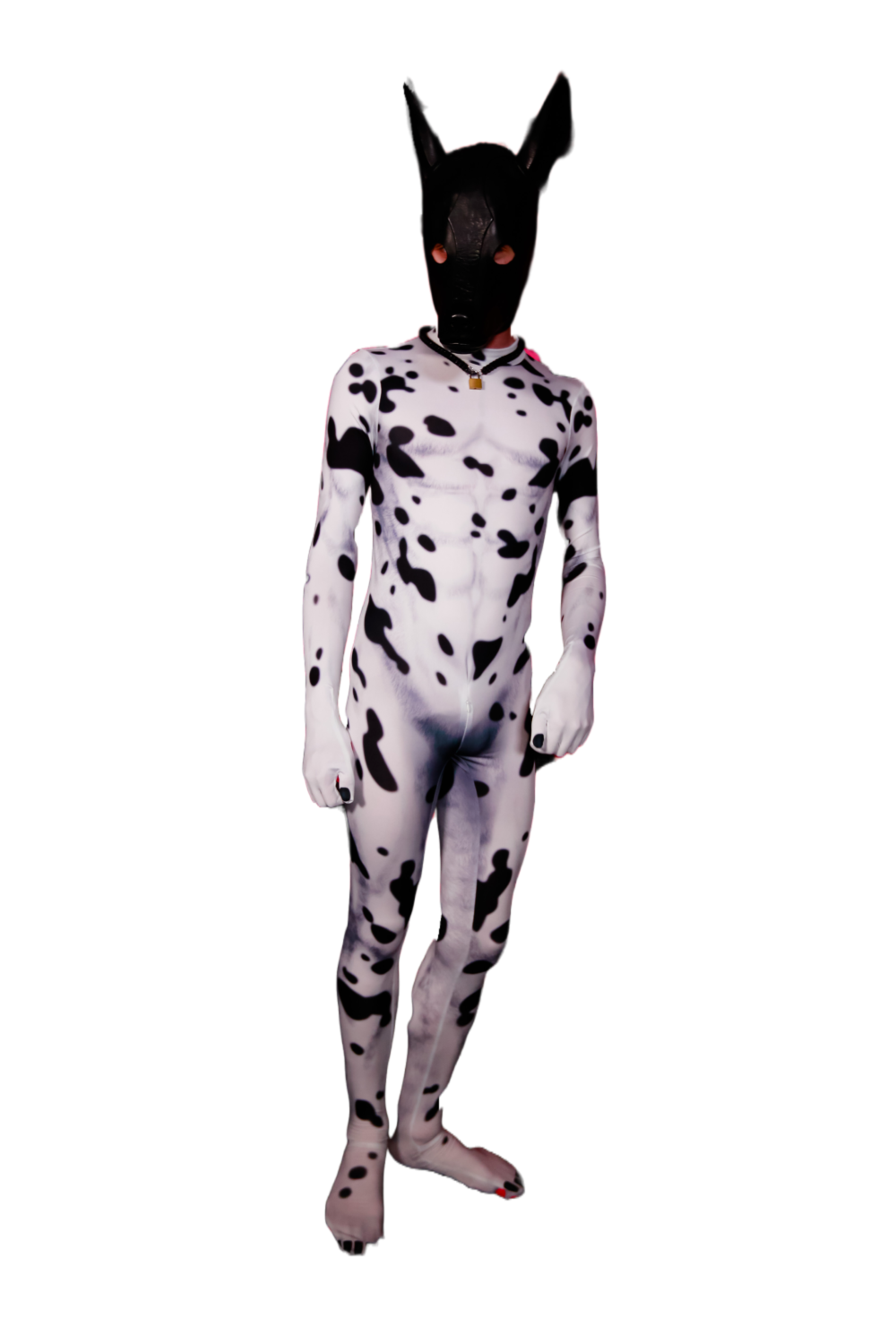 Dalmatian petsuit