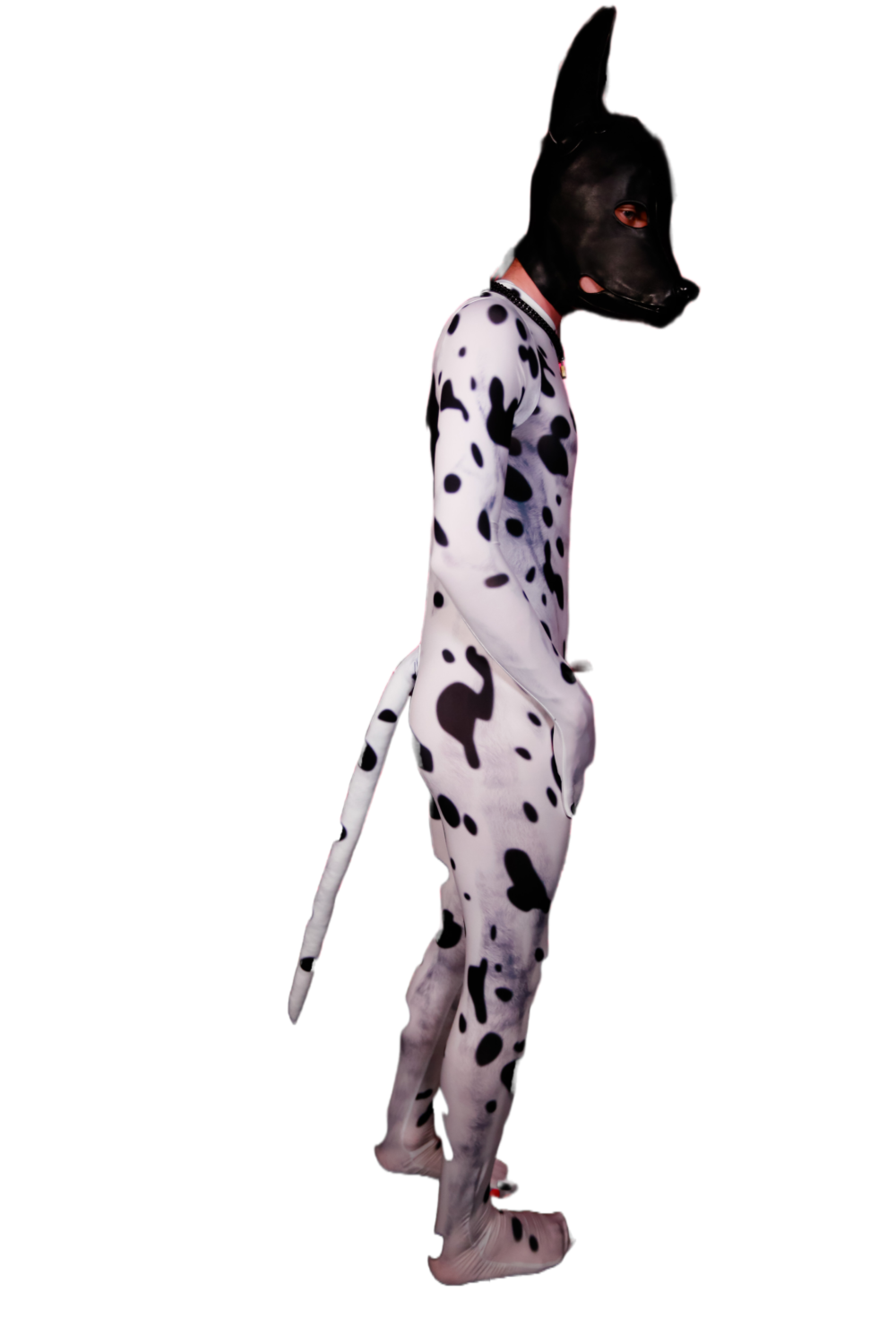 Dalmatian petsuit