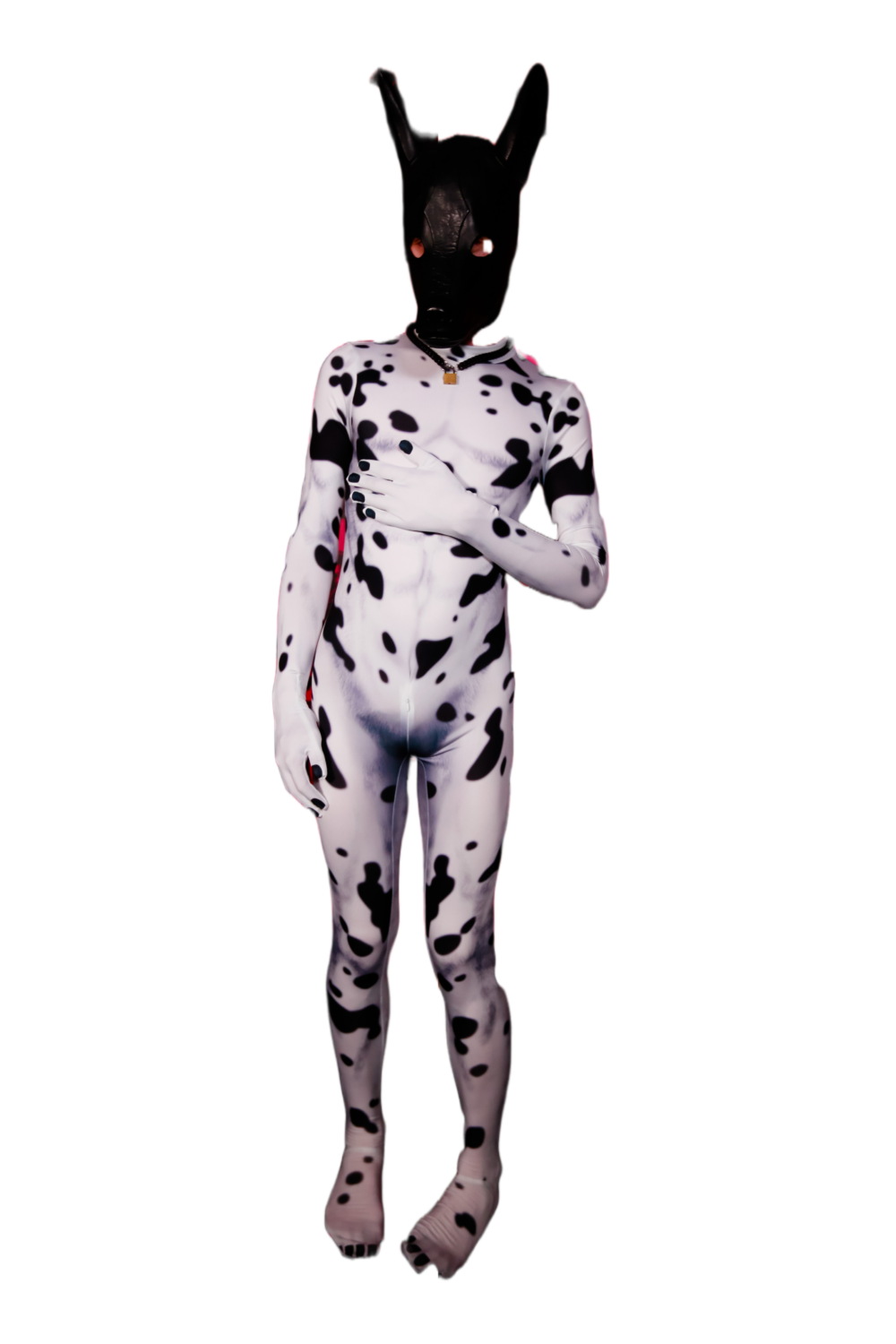 Dalmatian petsuit