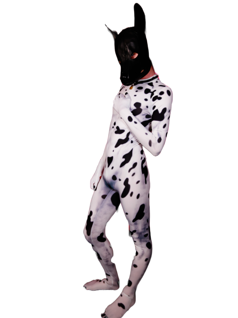 Dalmatian petsuit