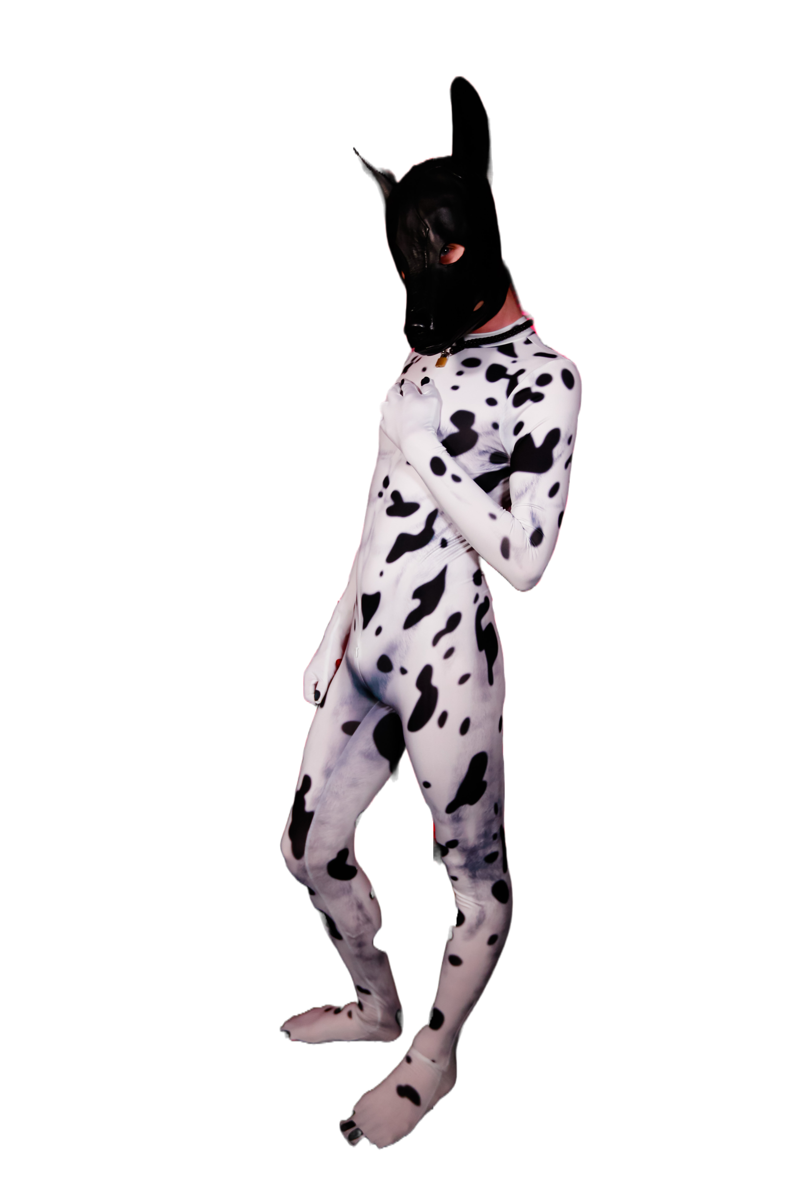 Dalmatian petsuit