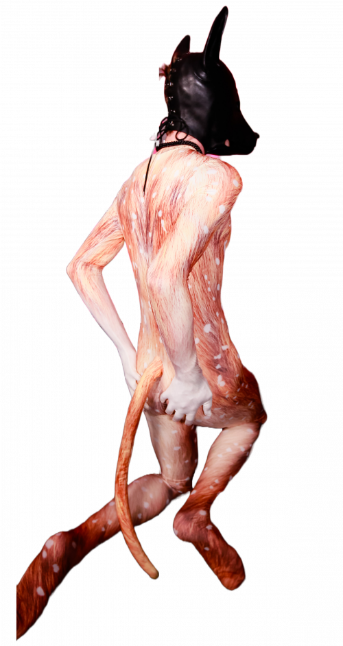 Deer petsuit