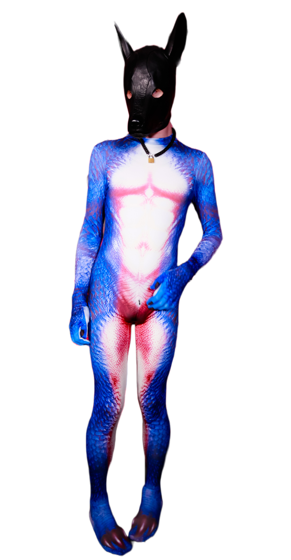 Blue Dragon petsuit