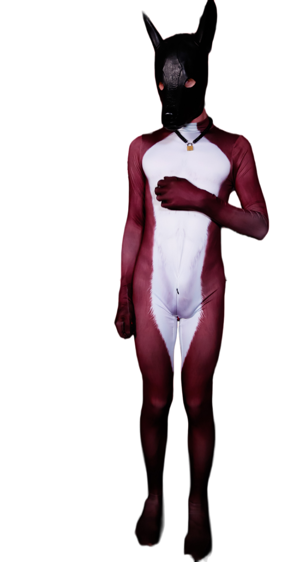 Brown fox petsuit