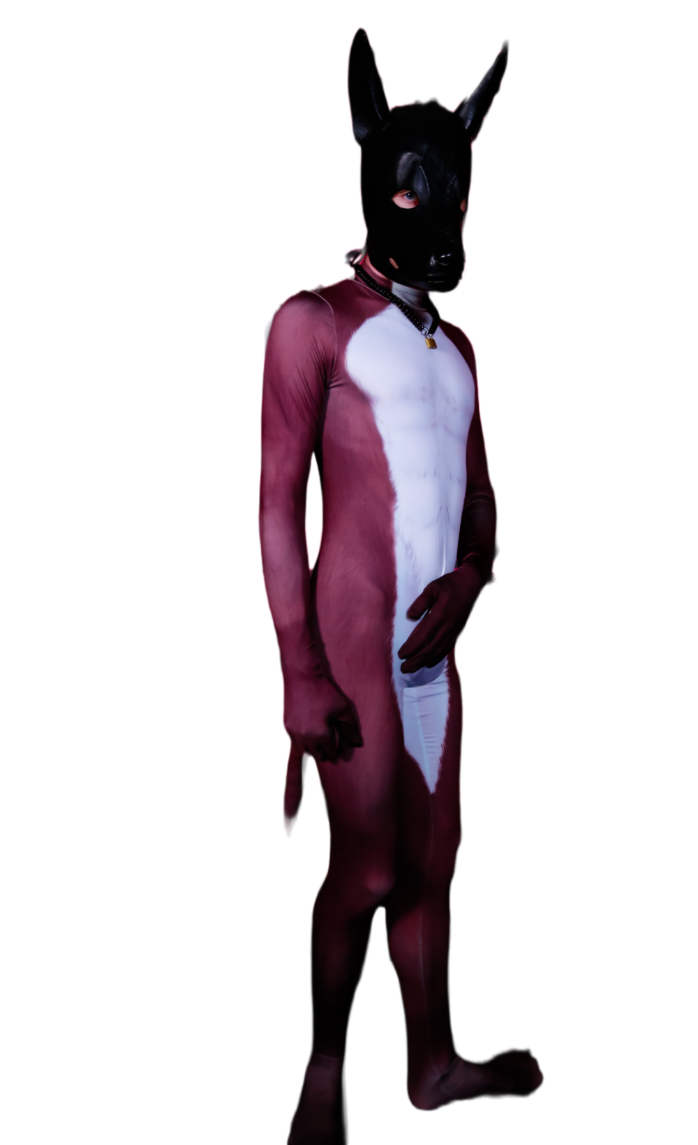 Brown fox petsuit