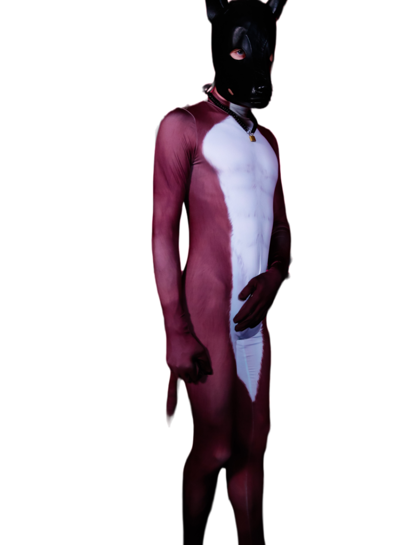 Brown fox petsuit