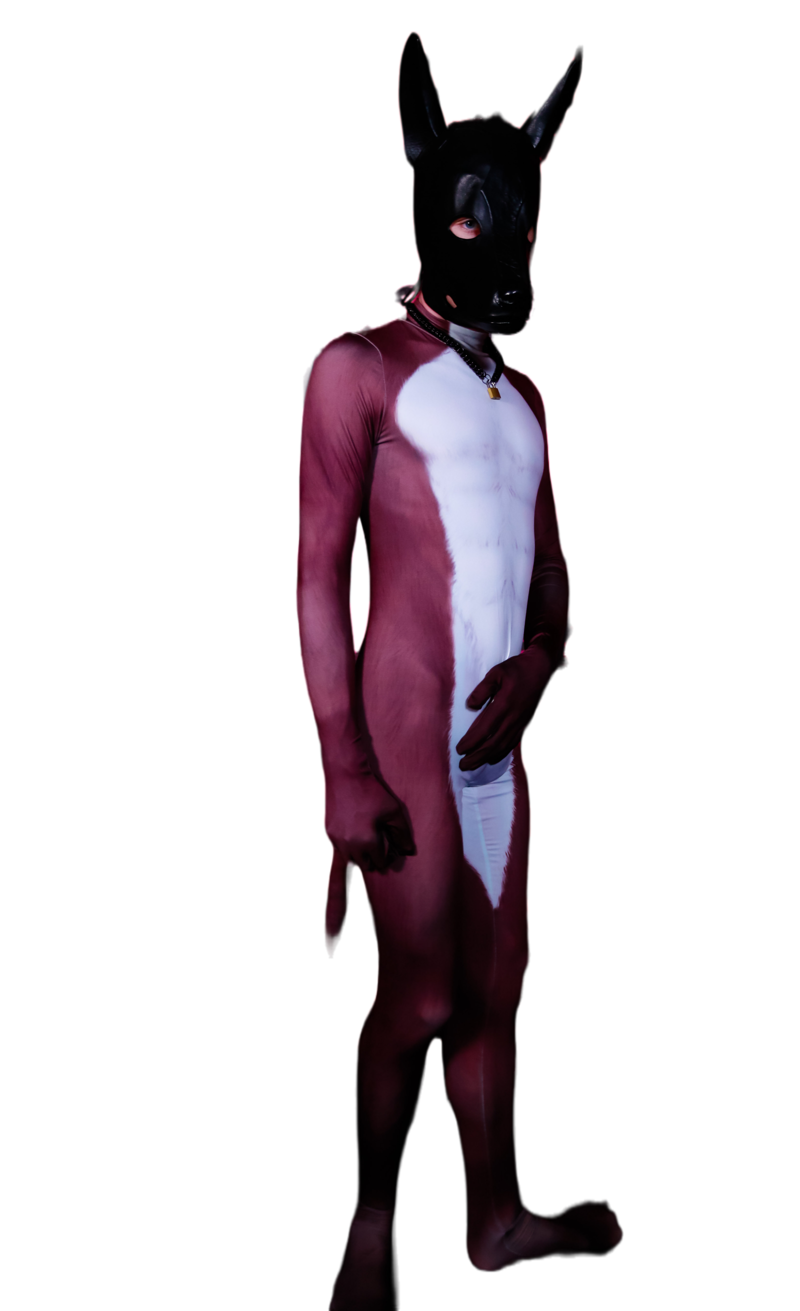 Brown fox petsuit