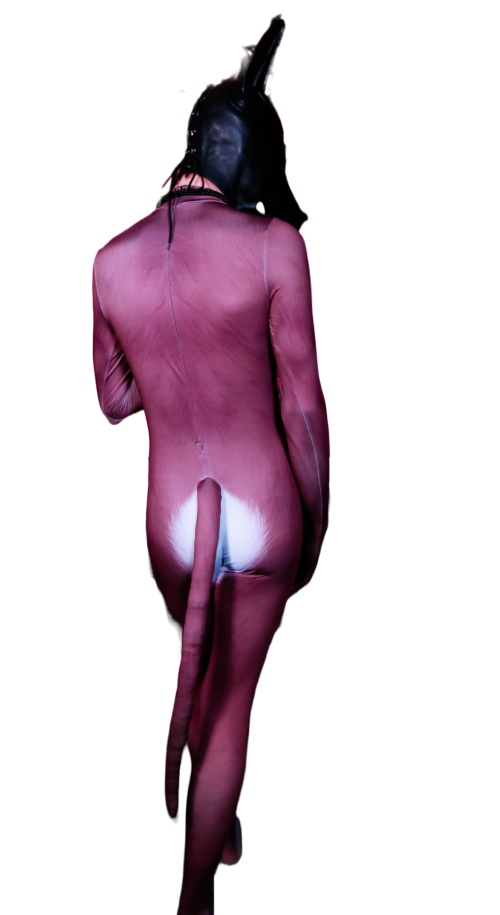 Brown fox petsuit