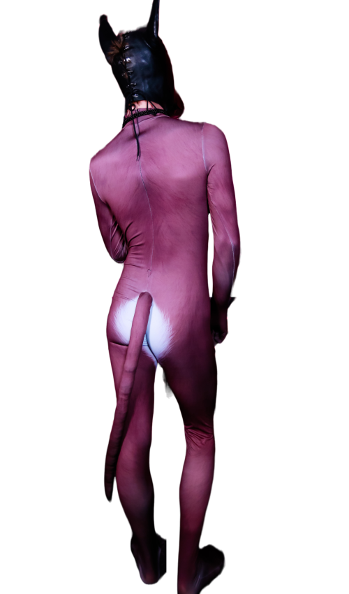 Brown fox petsuit