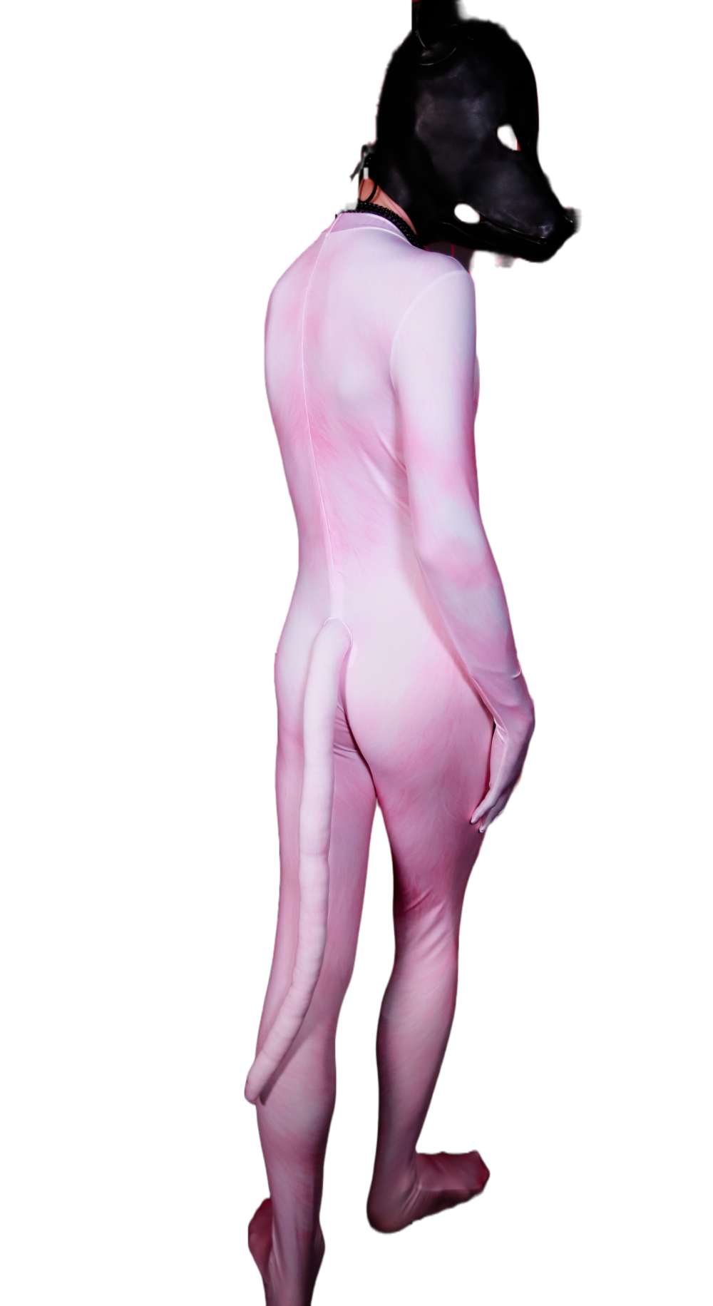 PINKY Petsuit
