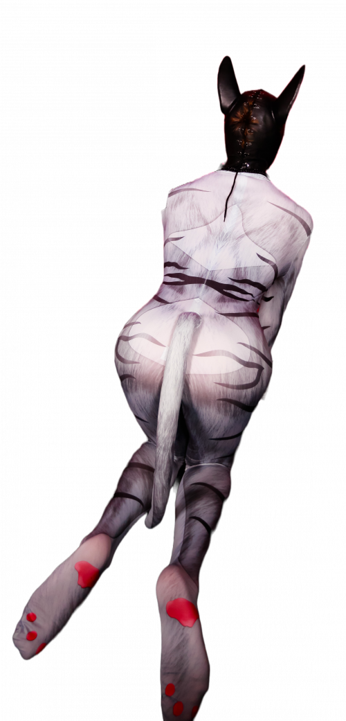 Snow Tiger Petsuit