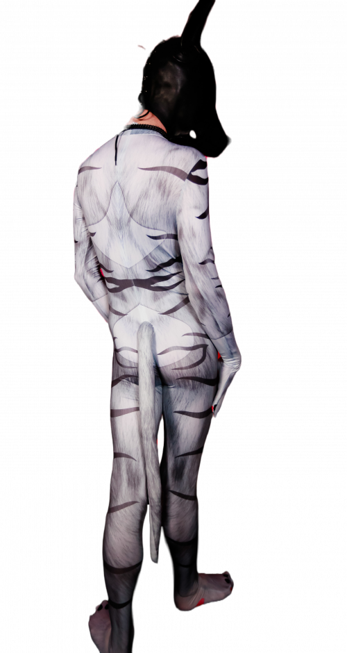 Snow Tiger Petsuit