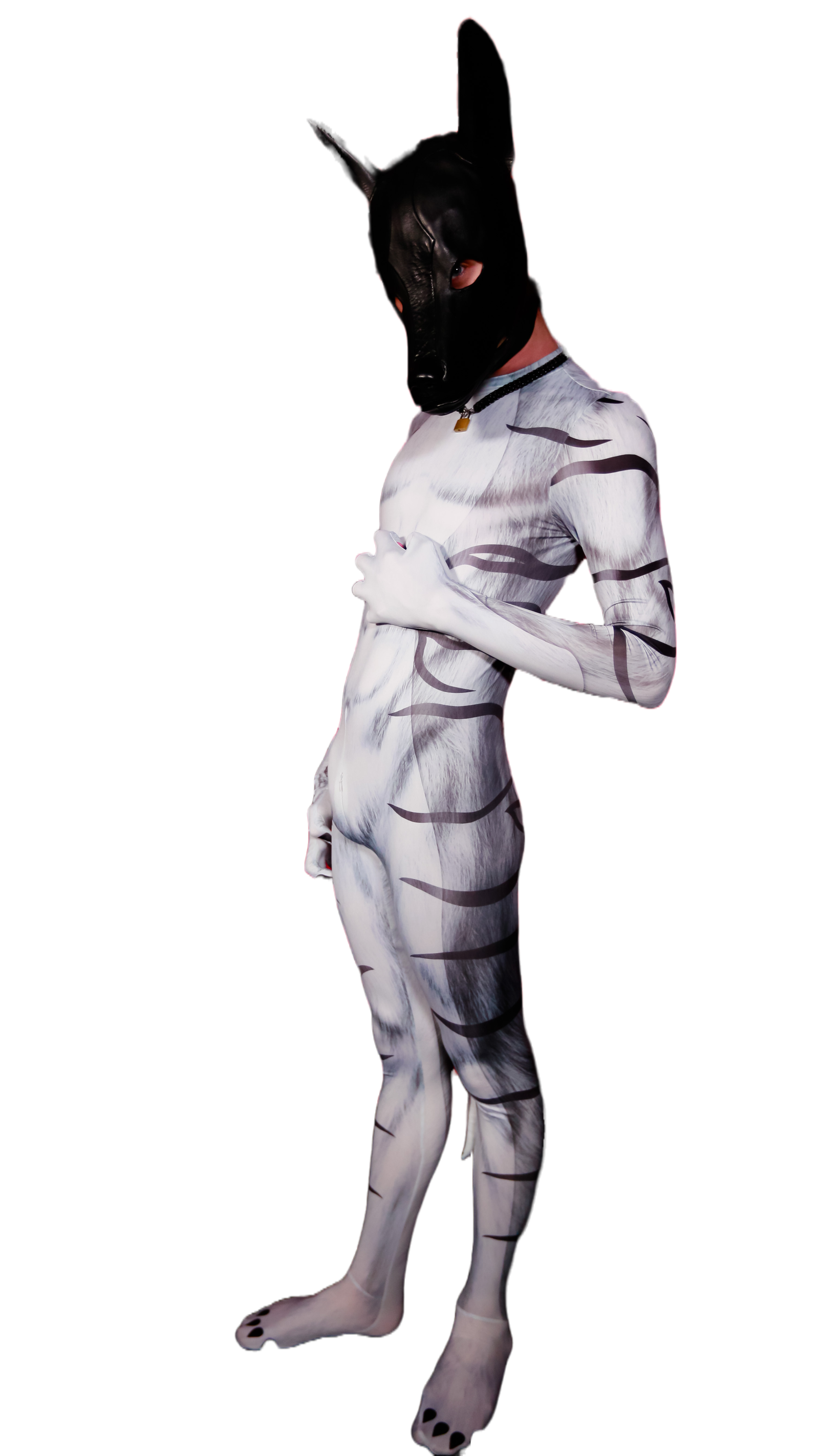 Snow Tiger Petsuit