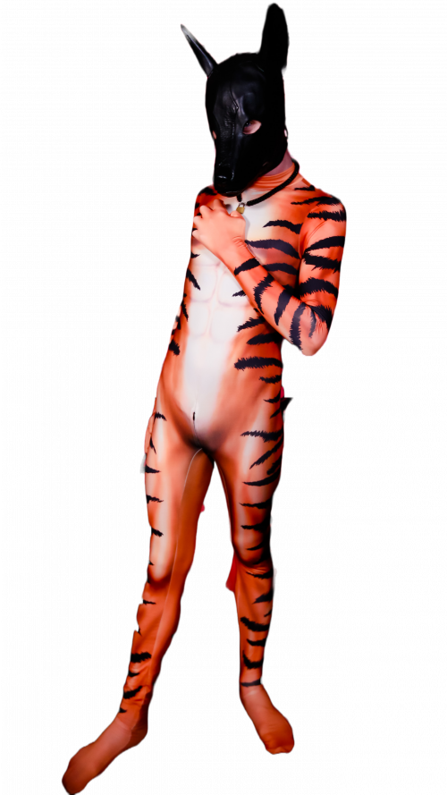 Tiger Petsuit
