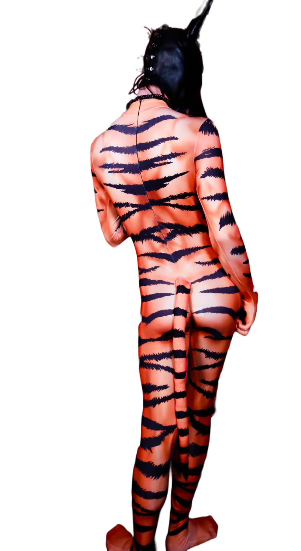 Tiger Petsuit